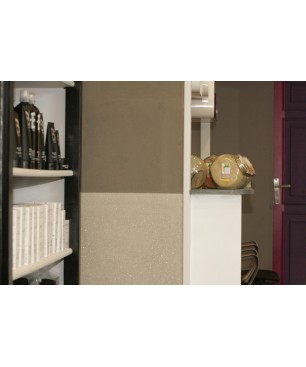 Enduit de finition Argilus Gris souris et N°58 + micas blancs