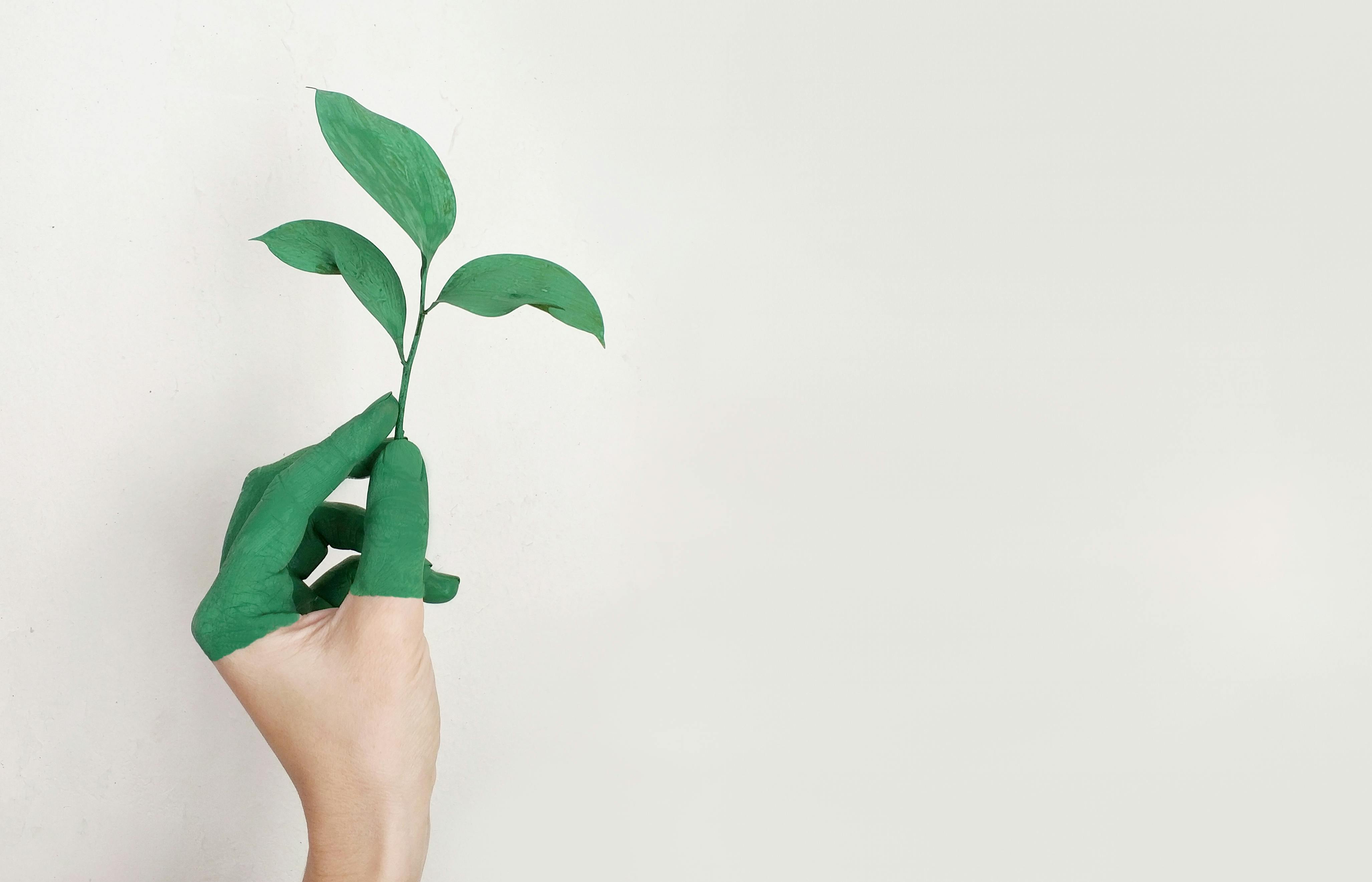 Peinture écologique